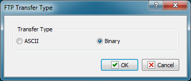 FTPTransferType